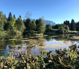 4 Tage Heilsames Yoga & Berge Retreat im Chiemgau, Deutschland - Photo 4