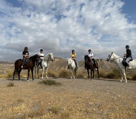 2 Day "Trails of Cinema, Tabernas Desert by Horse" Horse Riding Holiday in Almería, Spain - Photo 5