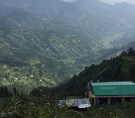 21 jours en stage de yoga et méditation dans l'Himalaya à Rishikesh, Inde - Photo 5