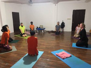 65 Day 200-Hour Online Transformative Yoga Teacher Training