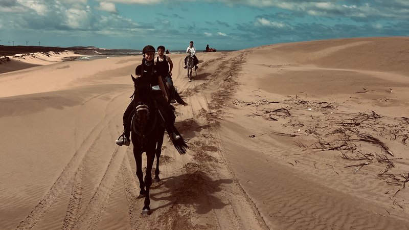 6 heures journée guidée non résidentielle à cheval plages et forêt d’Essaouira, Maroc