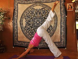 3 Day Reiki Prema Healing Workshop and Yoga Retreat in Krabi