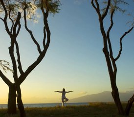 83 jours Stage de bien-être à Baugé-en-Anjou, France avec hatha yoga, sonothérapie et yoga nidra - Photo 1