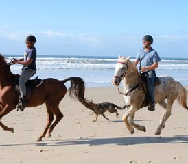 815 Tage Budget-Reiturlaub mit Tom und Tori Horse and Heart Adventures in Südafrika - Photo 1