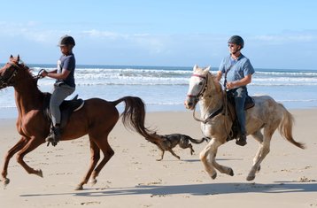 15 Day Budget Horse Riding Holiday with Tom and Tori Horse and Heart Adventures in South Africa