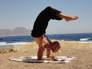 28 Tage 300-Stunden Transformierende Yogalehrer Ausbildung in Boca Raton, Florida