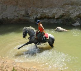 6 jours en stage d’équitation à Essaouira, Maroc - Photo 2