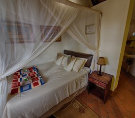 6 Day Classic Safari in Balule Nature Reserve and Kruger National Park, South Africa - Photo 4