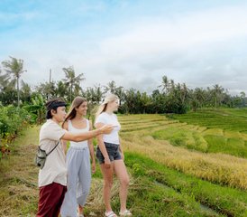 14 Day Private Recovery Retreat with Yoga and Meditation in the Jungle of Bali, Indonesia - Photo 3