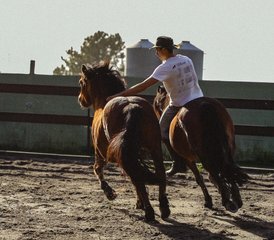 7 Day Galicia Horse Riding Experience: Ride in the Land of Wild Horses in Baiona, Spain - Photo 3