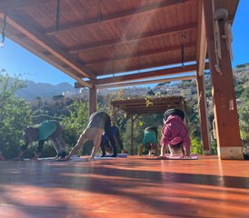 10 Day Meditation and Yoga Retreat for Weight Loss and Wellness in Marciana, Tuscany, Italy - Photo 4