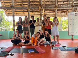 28 Day 200-Hours TTC - Hatha Yoga & Vinyasa, Meditation Course in Kerala, India 