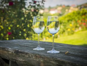 5 Day Private Wine Tour between Garda Lake and Prosecco Hills in the Veneto Region