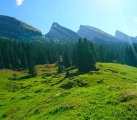 7 Day Hiking and Mindfullness Retreat with Meditation and Yoga in the Churfirsten, Switzerland - Photo 3