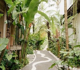 6 Day Women-Only Revive & Renew Yoga Retreat in Bali, Indonesia - Photo 3