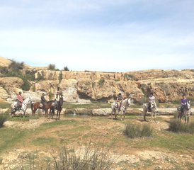 5 jours de séjour équestre Boucle d’Argana à Essaouira, Maroc - Photo 4