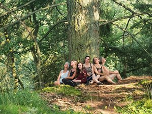 4-Daagse Joyful Silence of the Wild Soul Retreat met Meditatie en Yoga in de Belgische Ardennen