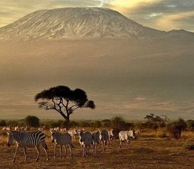 3 días de safari de lujo en la Reserva Nacional de Samburu, Kenia - Photo 2