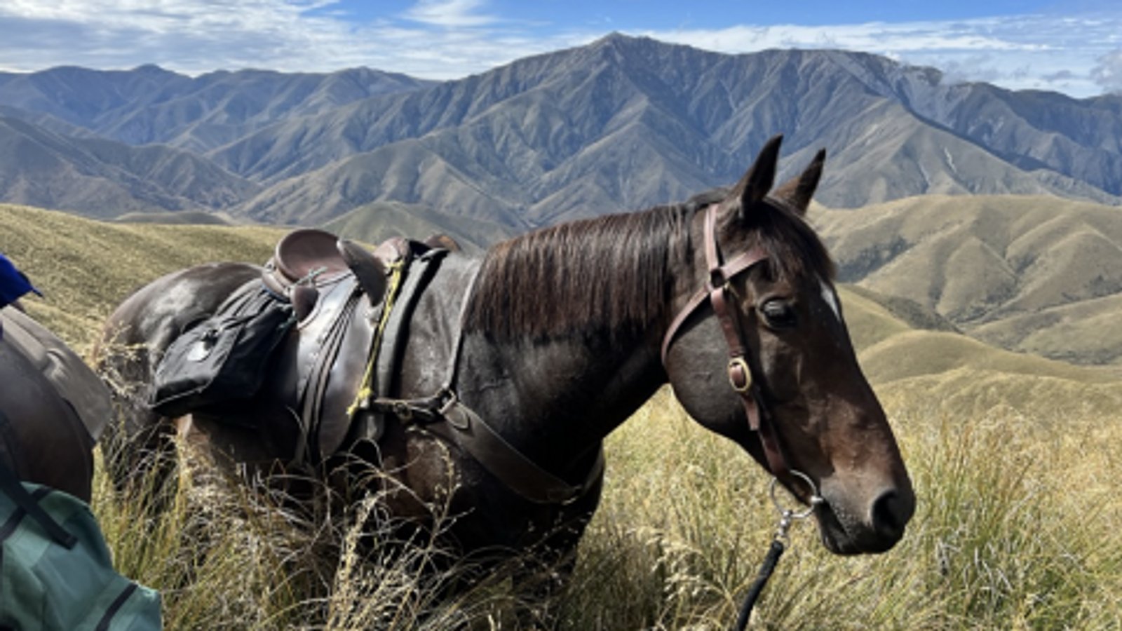 Blue Mountain Lake Limited, New Zealand