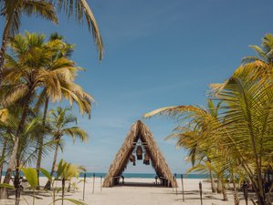 7 Day Awakening The Heart: Nature and Yoga Retreat in Santa Marta, Colombia