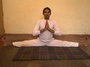 28 Tage 200-Stunden Yogalehrer Ausbildung in Rishikesh