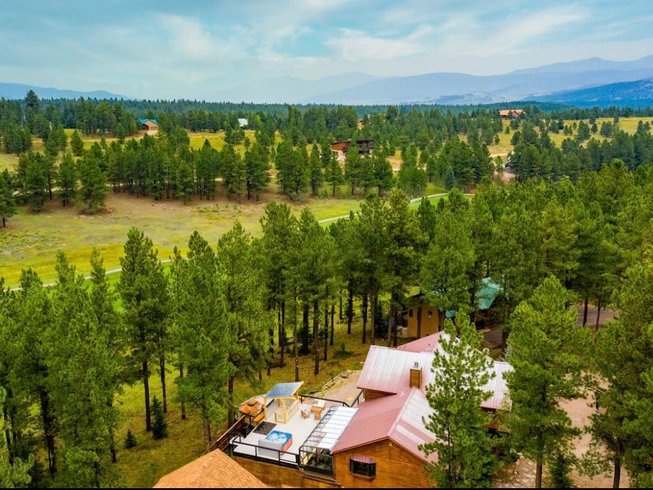 Forest in New Mexico