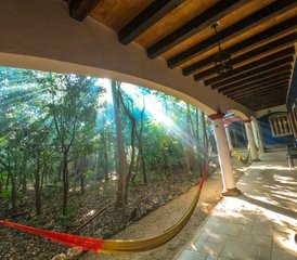 12 jours de détoxification et purification du corps et cours de Yoga/Feldenkrais à Cancun Quintana Roo, Mexique - Photo 5