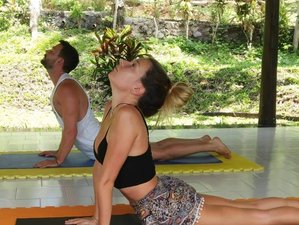 5 Day Recharge Your Body and Mind With Culture, Yoga, Meditation in Tabanan, Bali