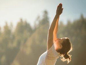 8 Day Ayurveda and Yoga Wellness Retreat in Kerala, India