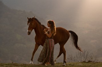 14-Daagse Liberty Klassieke Dressuur en Yoga Retreat in Tucurrique Cartago Costa Rica