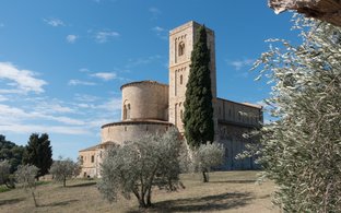 Montalcino Retreats und Reisen