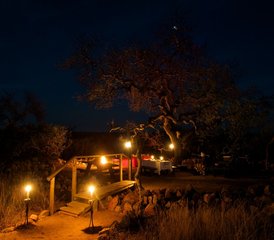 6 Day Classic Safari in Balule Nature Reserve and Kruger National Park, South Africa - Photo 5