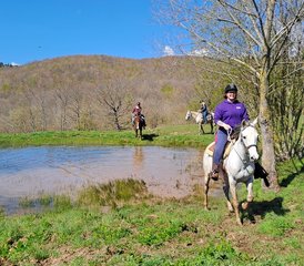 8 Day Natural Western Horse Riding Holiday in Castell'Azzara, Tuscany - Photo 2