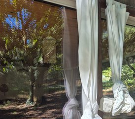 7 Jour Stage Bien Etre, Meditation, et Alimentation en Gironde, France - Photo 5