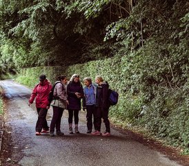 4 Day Yoga, Mindfulness, and Hiking Retreat nestled in Peaceful Village of Hatrival, Belgium - Photo 5