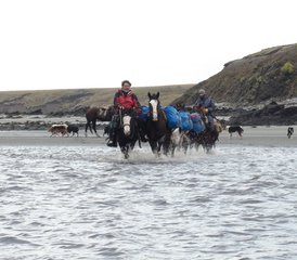 12-Daagse Paardrijtocht aan de Magische Atlantische Kust van Tierra del Fuego, Argentinië - Photo 2