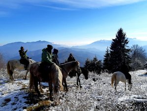 4 Day Horse Riding Holiday in the Lotru Mountains