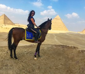 66 Tage Multi-Abenteuer-Reitmini-Urlaub in Ägypten - Photo 1