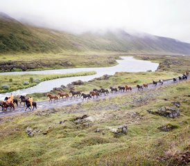 6 Tage Wonders of Lake Mývatn Northern Exposure Reittour in Nordisland, Island - Photo 5