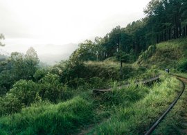 Kandy Retreats & Trips