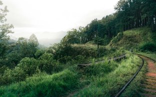 Kandy Retreats und Reisen