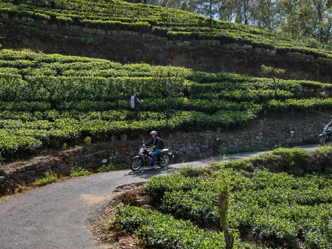 13 Day Royal Enfield Guided Motorcycle Tour in Sri Lanka: Ancient Kingdoms and the North photo 6