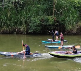 5 días de retiro de desintoxicación, sanación y alineación con yoga y meditación en Palomino, Colombia - Photo 4