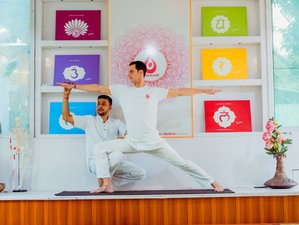 22 Day 200 Hour Ayurveda, Reiki, Kundalini, Hatha, Vinyasa, Ashtanga Yoga Teacher Training in India 