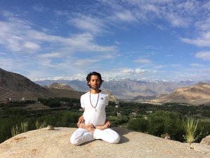 10 Day Holistic Yoga and Meditation Retreat with Ayurveda in ...