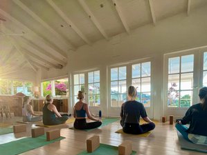  6 Day Luxury Yoga, Ayurveda, and Detox Retreat In The Mountains of Alajuela Province