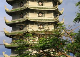 Vu Linh Retreats & Trips