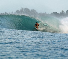 78 jours en stage de surf paisible avec bungalows en bord de mer et vagues de classe mondiale à Mentawai, Indonésie - Photo 1