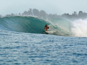 8 Day Tranquil Surf Trip with Beachfront Bungalows and World-Class Waves in Mentawai, Indonesia