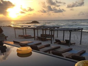 6 Days Yoga Retreat in the Paradise of Tulum, Mexico 